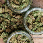 three jars full of cannabis flower at a marijuana provisioning center