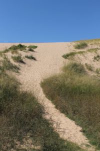 a path in a sand dune