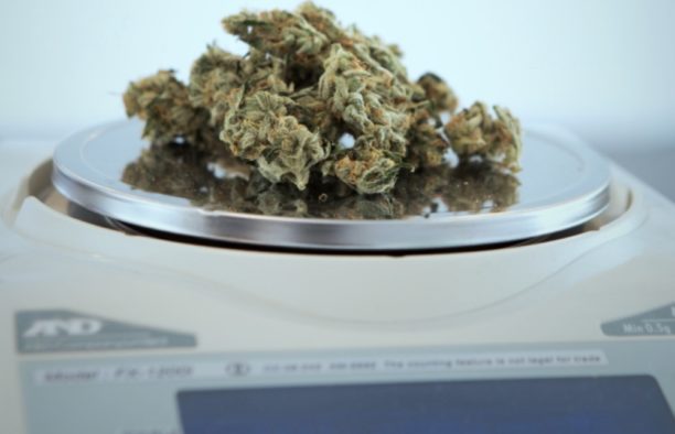 marijuana as medicine on s scale at a provisioning center