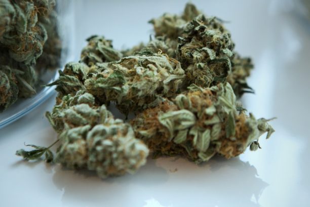 cannabis flowers, soon to be legal in Michigan