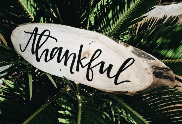 thankful graphic because we are thankful for cannabis legalization in Michigan