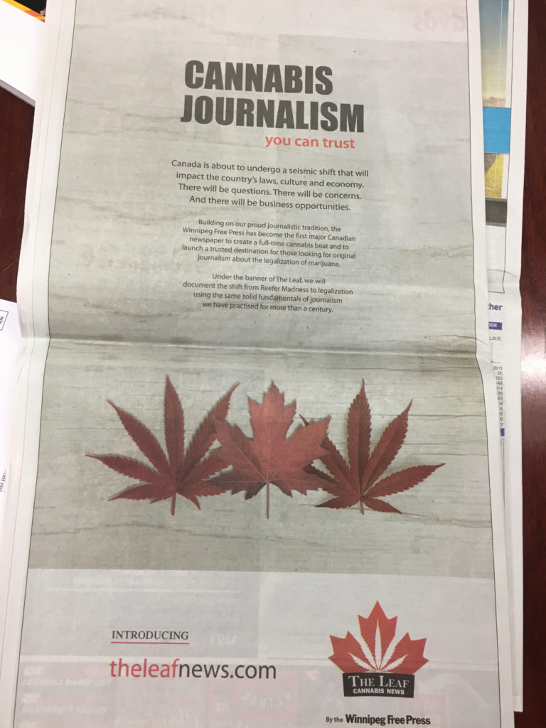 an ad from the Winnipeg newspaper about its marijuana website